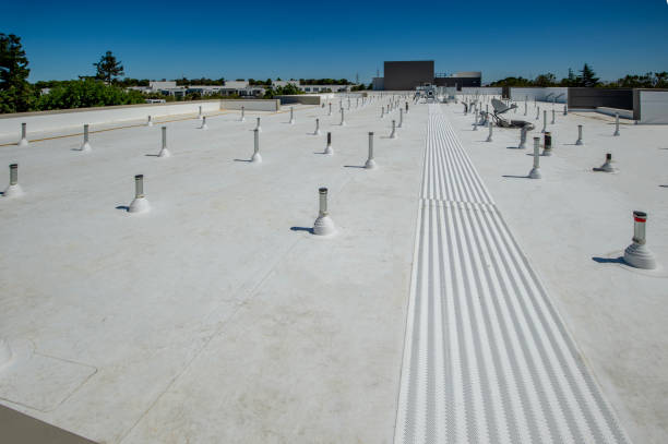 Best Sheet Metal Roofing  in Red Lake, MN